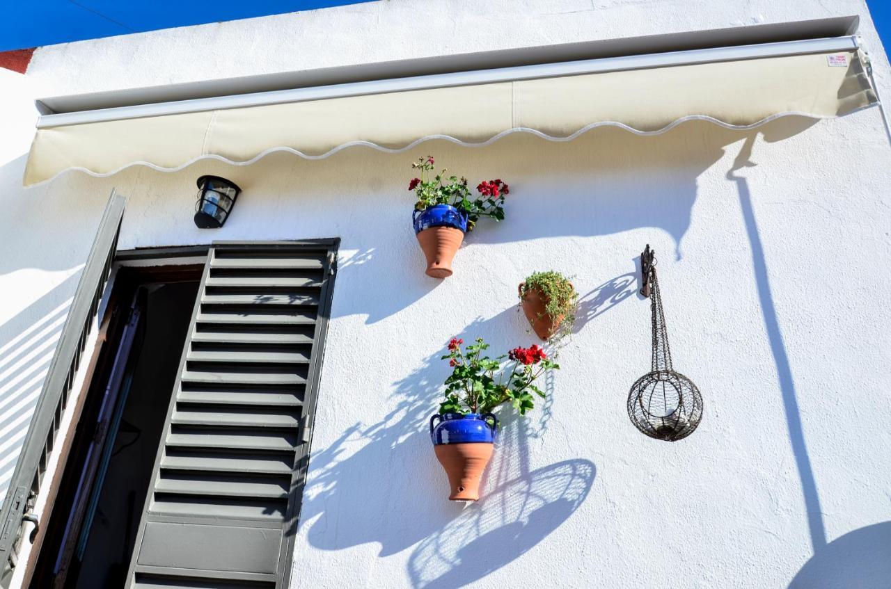 AlohaMundi Campana Apartment Sevilla Bagian luar foto